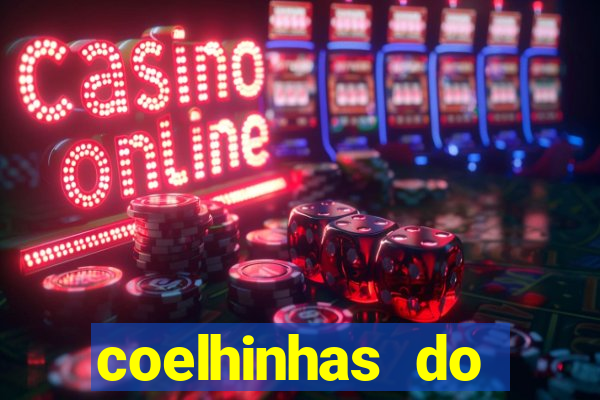 coelhinhas do brasil site